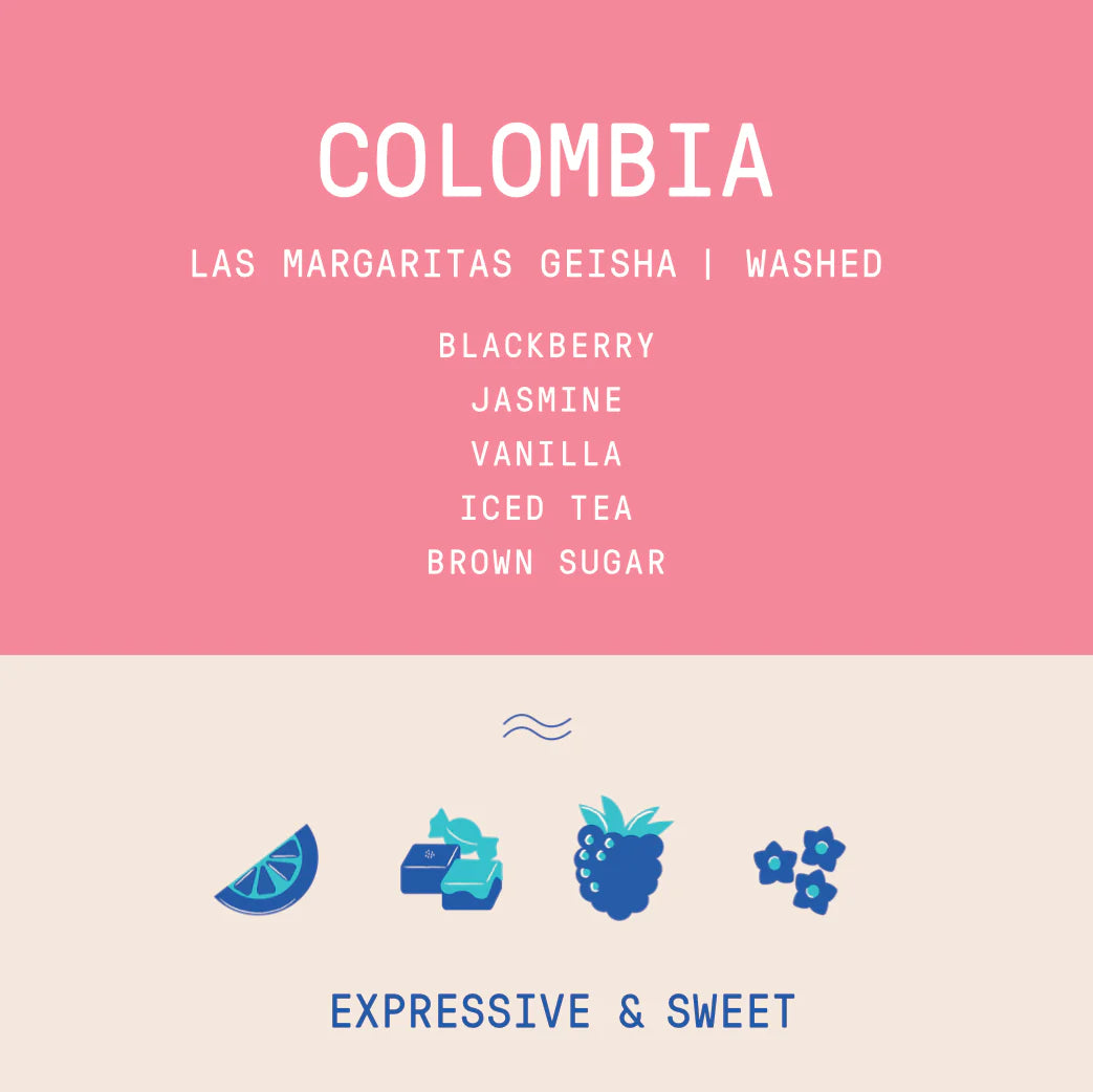 Rogue Wave Coffee - Colombia - Las Margaritas - Geisha - Washed
