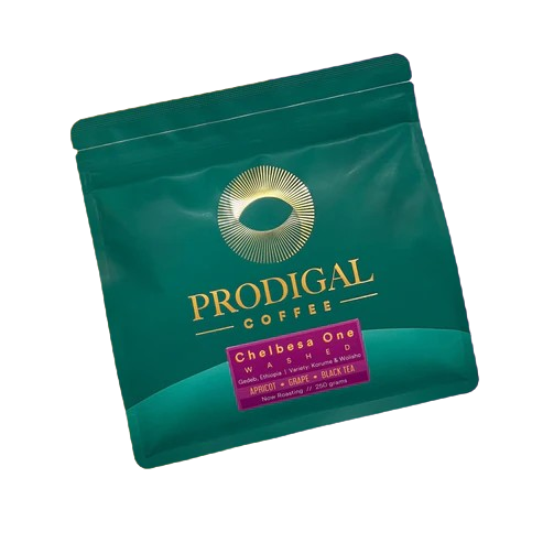 PRODIGAL - Chelbesa One