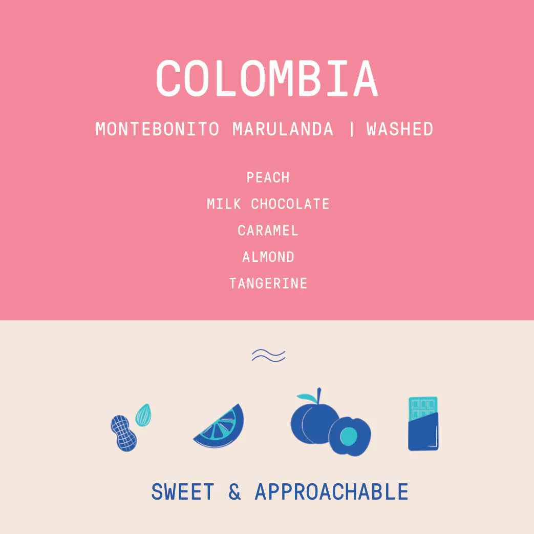 Rogue Wave Coffee - Colombia - Montebonito Marulanda - Washed