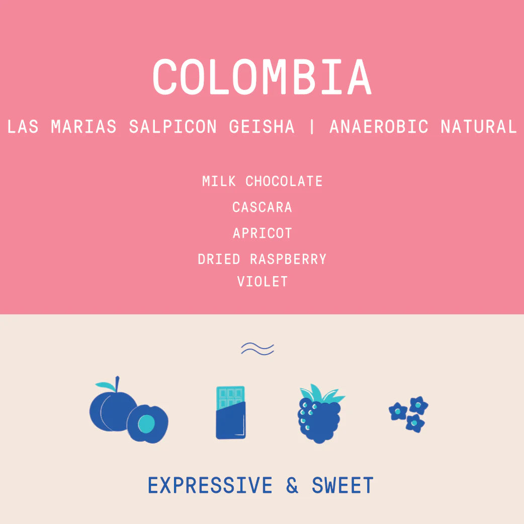 Rogue Wave Coffee - Colombia - Las Marias Salpicon - Geisha - 96 hour Anaerobic - Natural
