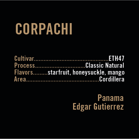 APOLLON'S GOLD - Corpachi ETH47