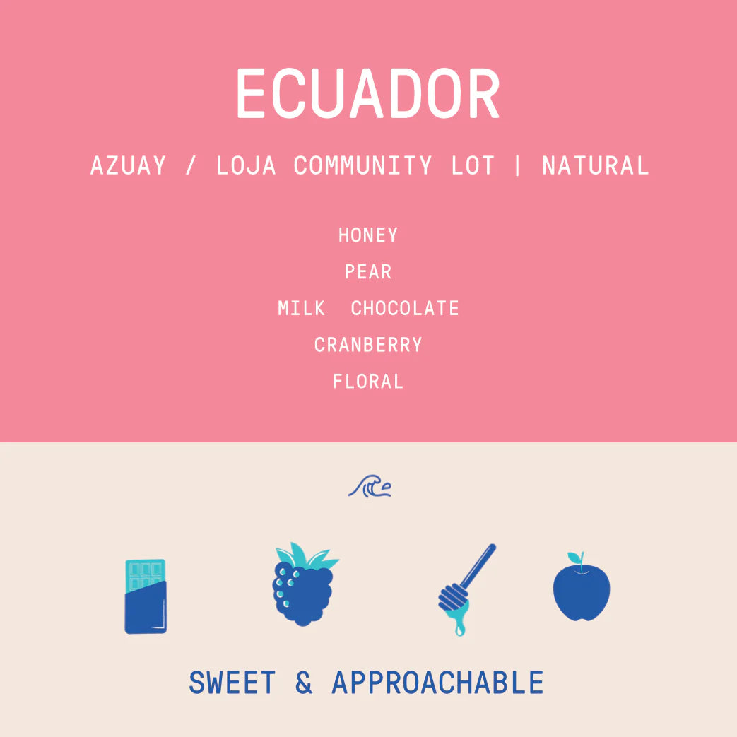 Rogue Wave Coffee - Ecuador - Azuay / Loja - Community Lot - Natural