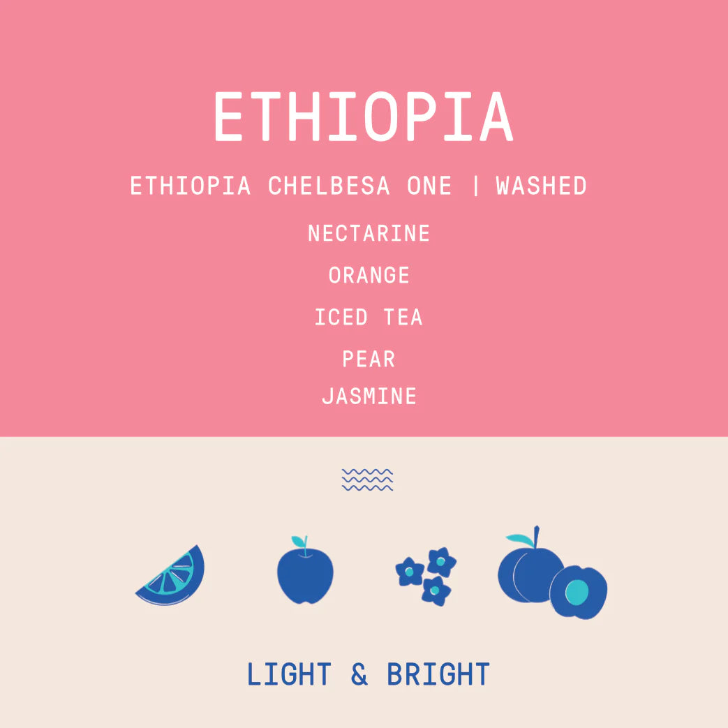 Rogue Wave Coffee - Chelbesa One