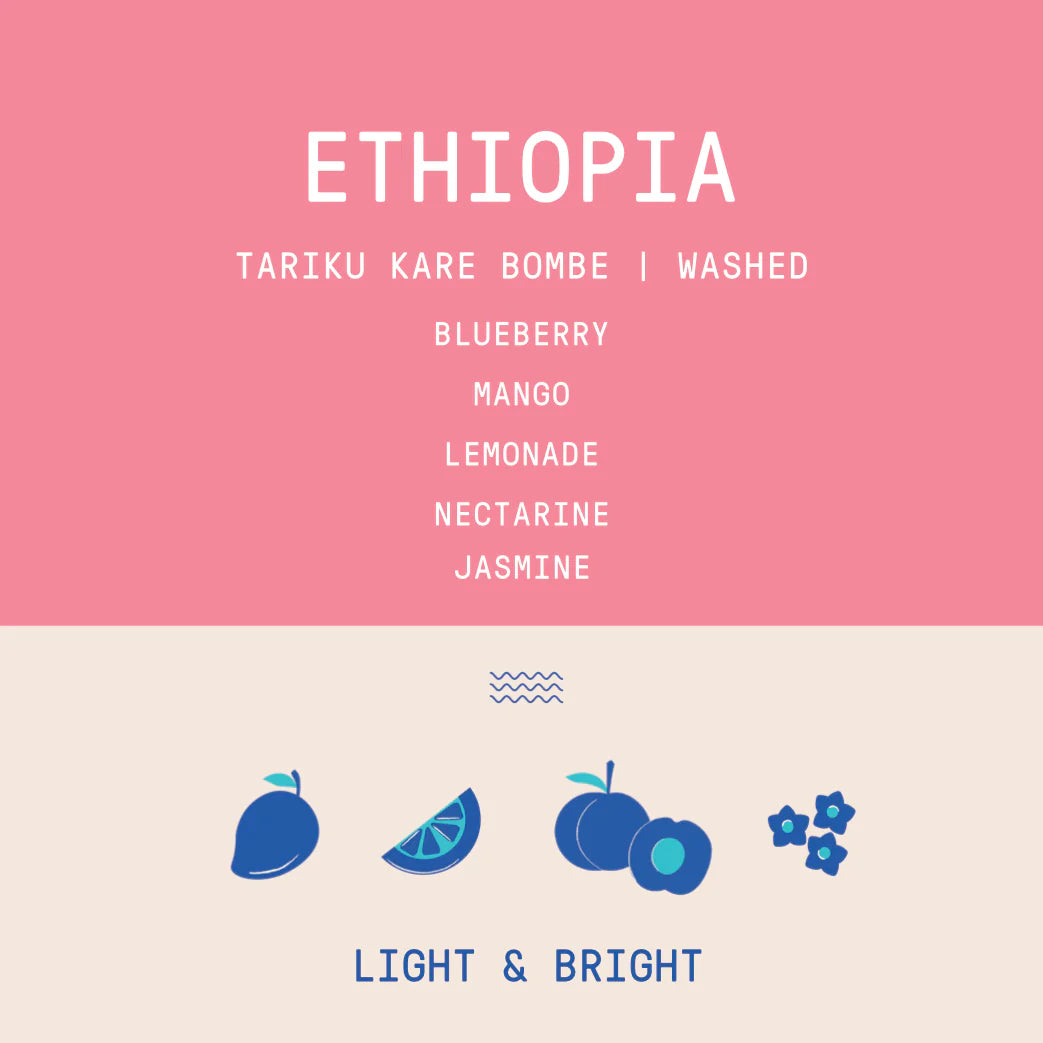 Rogue Wave Coffee - Ethiopia - Tariku Kare Bombe - Washed