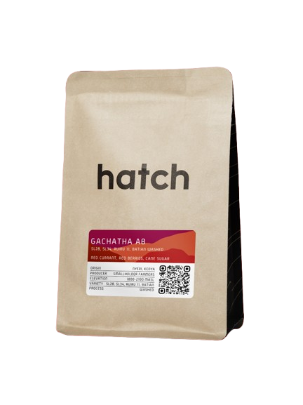 HATCH - Gachatha AB - Kenya - Washed