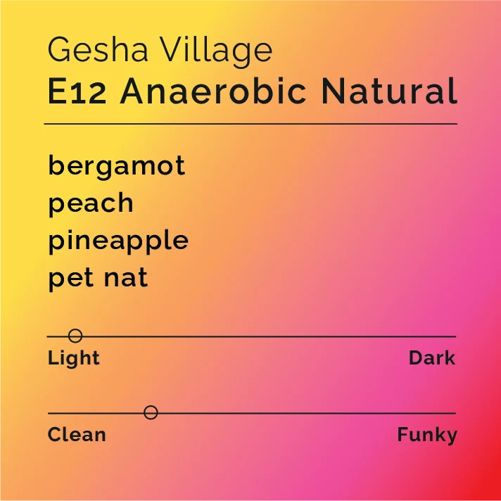 Black & White Roasters  – Gesha Village - E12 Anaerobic Natural