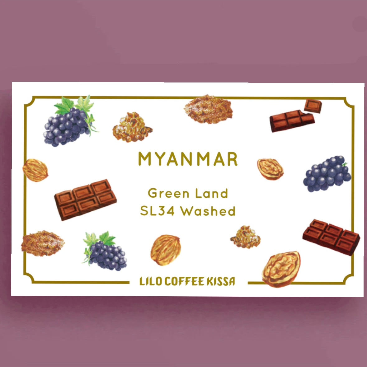 Illustrated tasting notes label for LILO - Green Land SL34 Washed - Myanmar - Washed