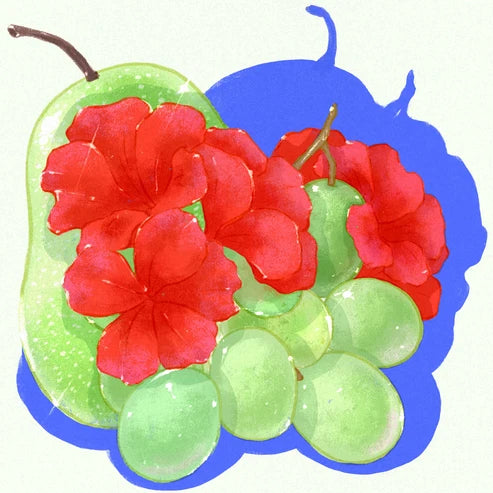 Hydrangea Coffee Roasters - Pillcocaja Coffee - Typica - Anaerobic Washed