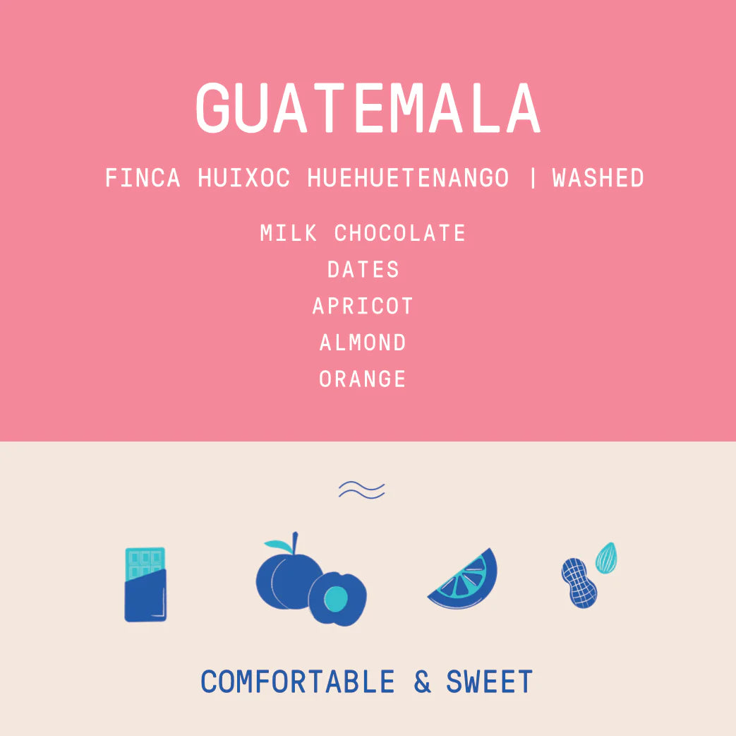 Rogue Wave Coffee - Guatemala - Huixoc Huehuetenango - Washed