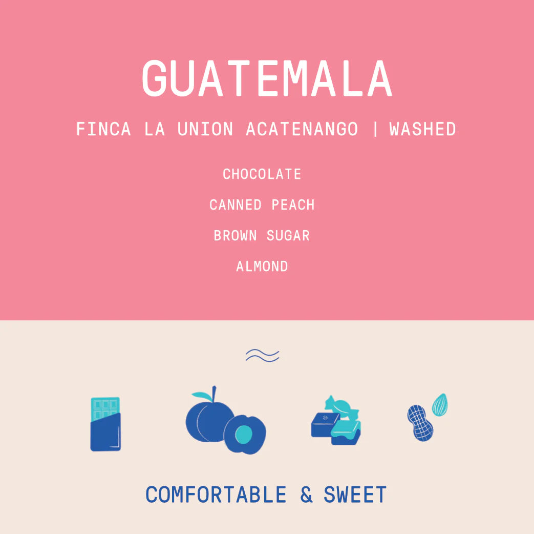 Rogue Wave Coffee - La Union Acetenango