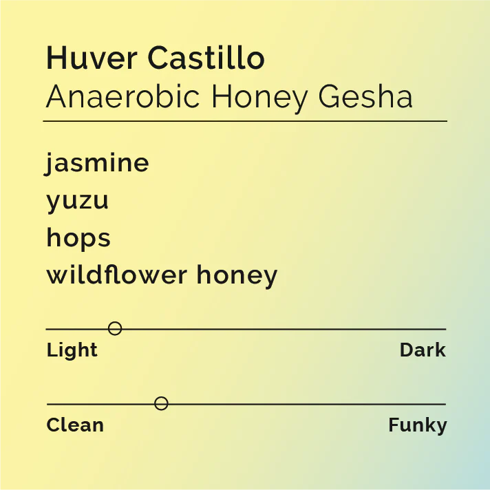 Black & White Roasters – Huver Castillo - Gesha Miel Anaérobie