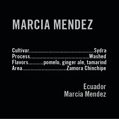APOLLON'S GOLD - Marcia Mendez Sydra