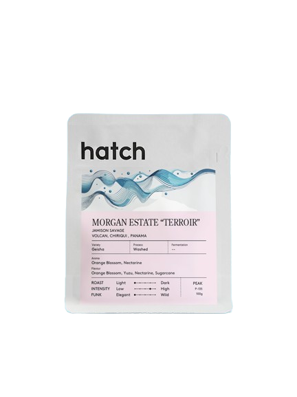 HATCH - Morgan Estate Terroir - Panama - Geisha