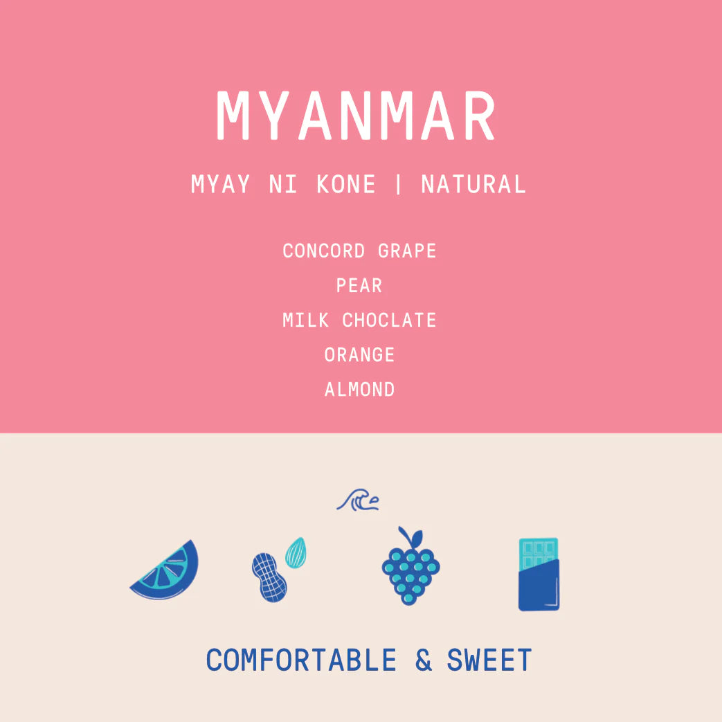 Rogue Wave Coffee - Myanmar - Myay Ni Kone - Natural