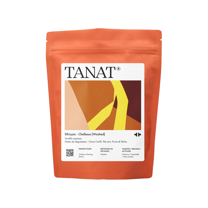 Tanat - Ethiopia - Chelbesa [Washed]