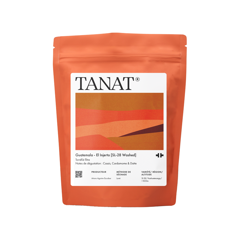 Tanat - Guatemala - El Injerto [SL-28 Washed]