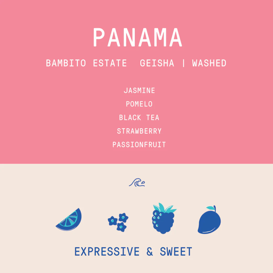 Rogue Wave Coffee - Panama - Bambito Estate Geisha