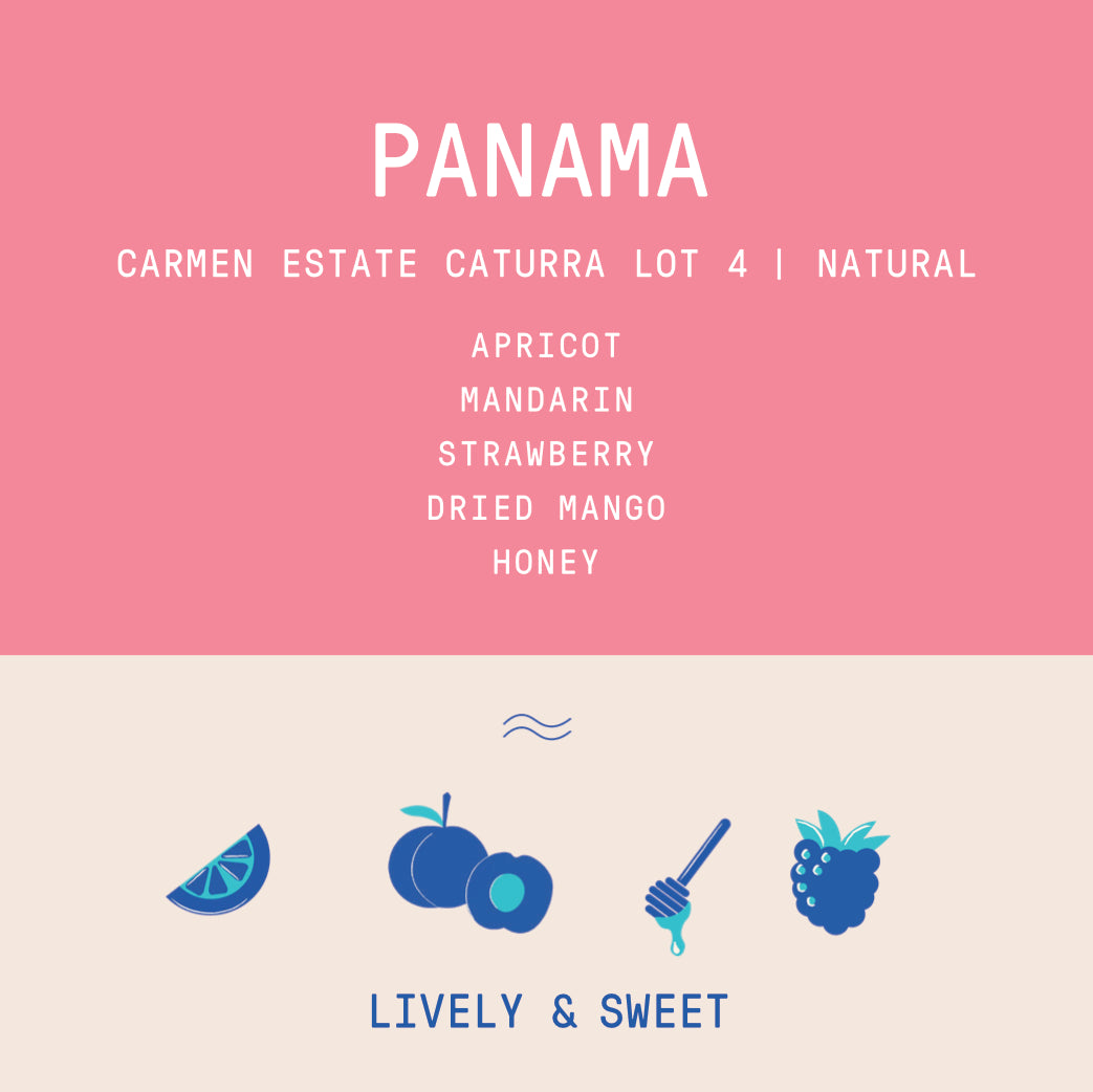 Rogue Wave Coffee - Panama - Carmen Estate Caturra Lot 4 | Naturel
