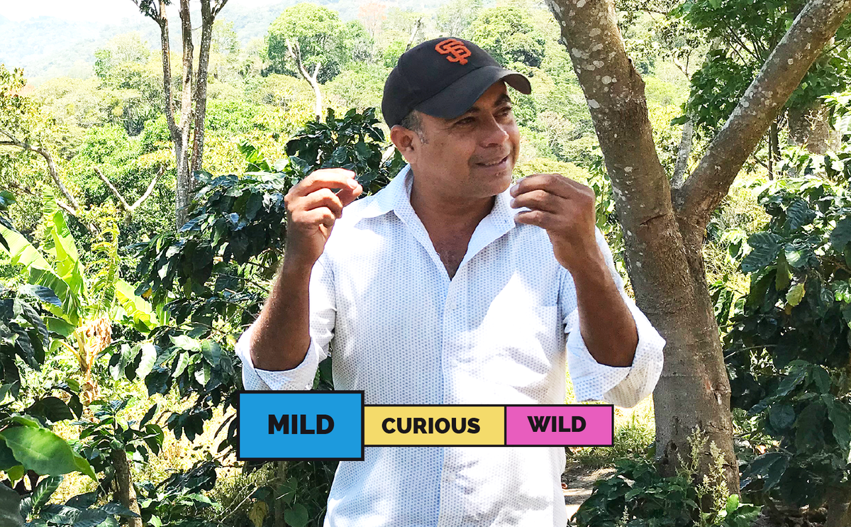 Proud Mary Coffee - NICARAGUA | Monte Libano | Caturra | Washed - producer photograph