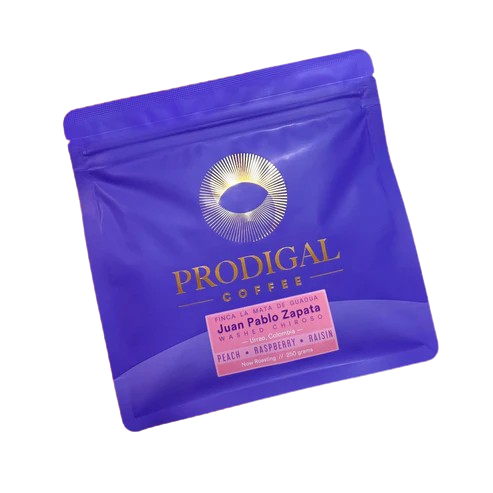 PRODIGAL - Juan Pablo Zapata