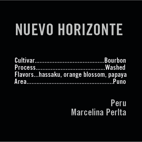 apollons gold - nuevo horizonte