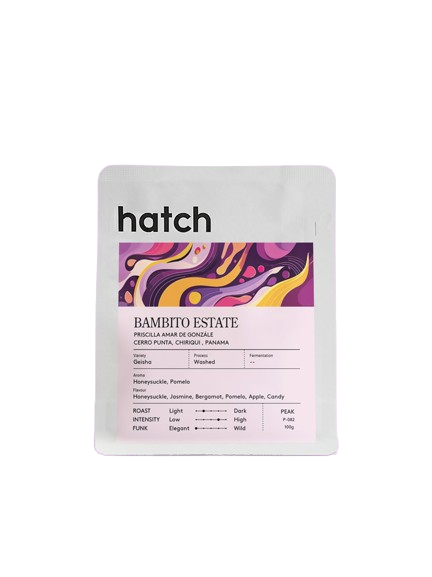 HATCH - Bambito Estate - Panama - Geisha - Washed