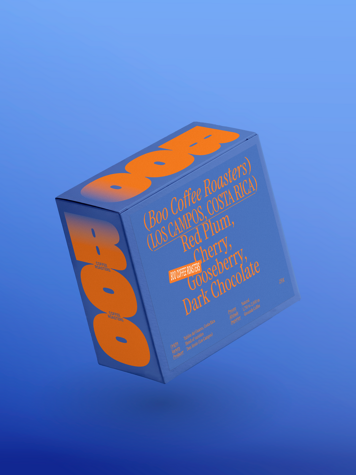 Boo Coffee Roasters Los Campos - Costa Rica - Natural 250g