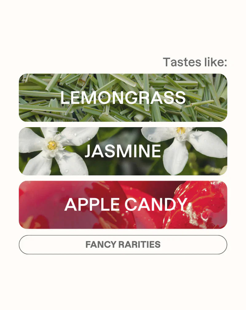 MONOGRAM - Carmen Montoya