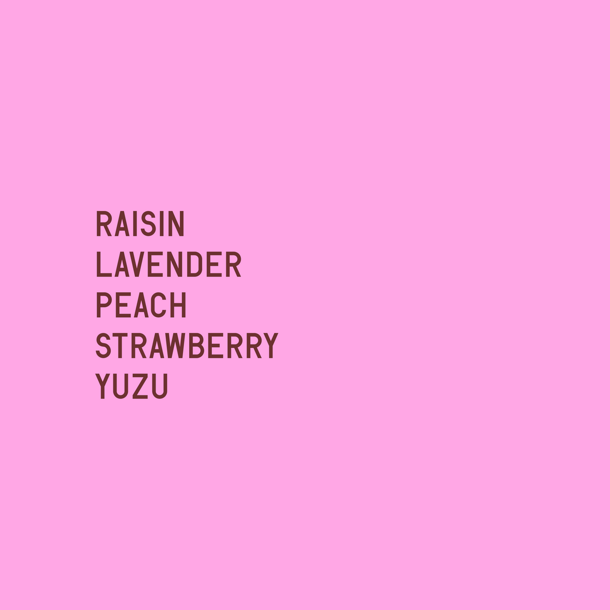 Tasting notes: Raisin, lavender, peach, strawberry, yuzu | Datura Coffee - Inmaculada Striking Terroir Gesha - Colombia - Natural (Nitrogen Flushed)