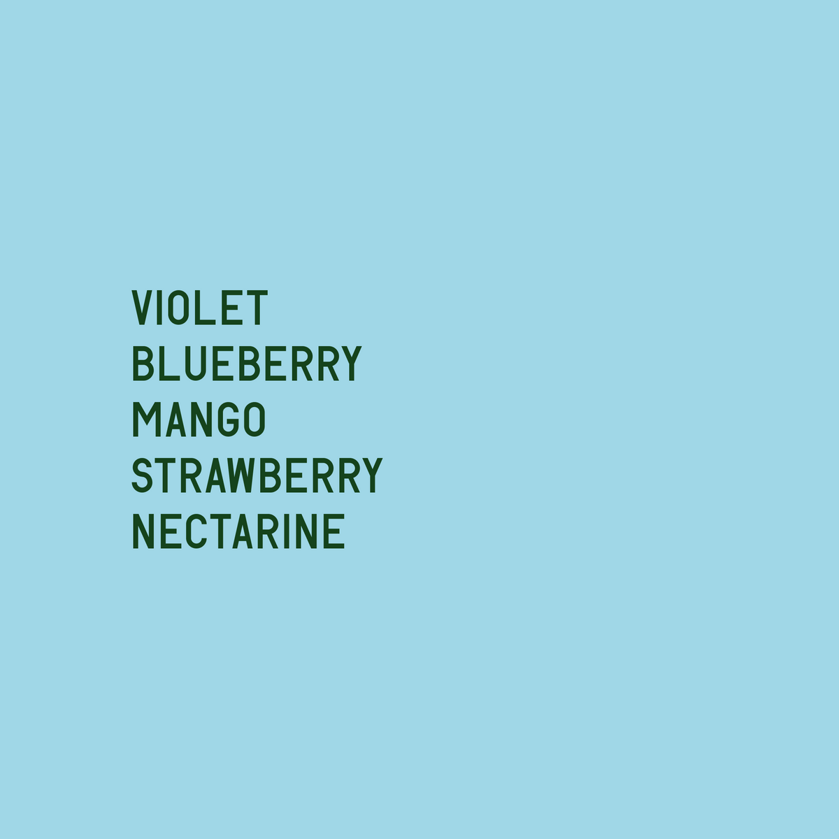 Tasting notes: Violet, blueberry, mango, strawberry, nectarine | Datura Coffee - Gesha Village Lot 26/127 Oma - Ethiopia - Natural