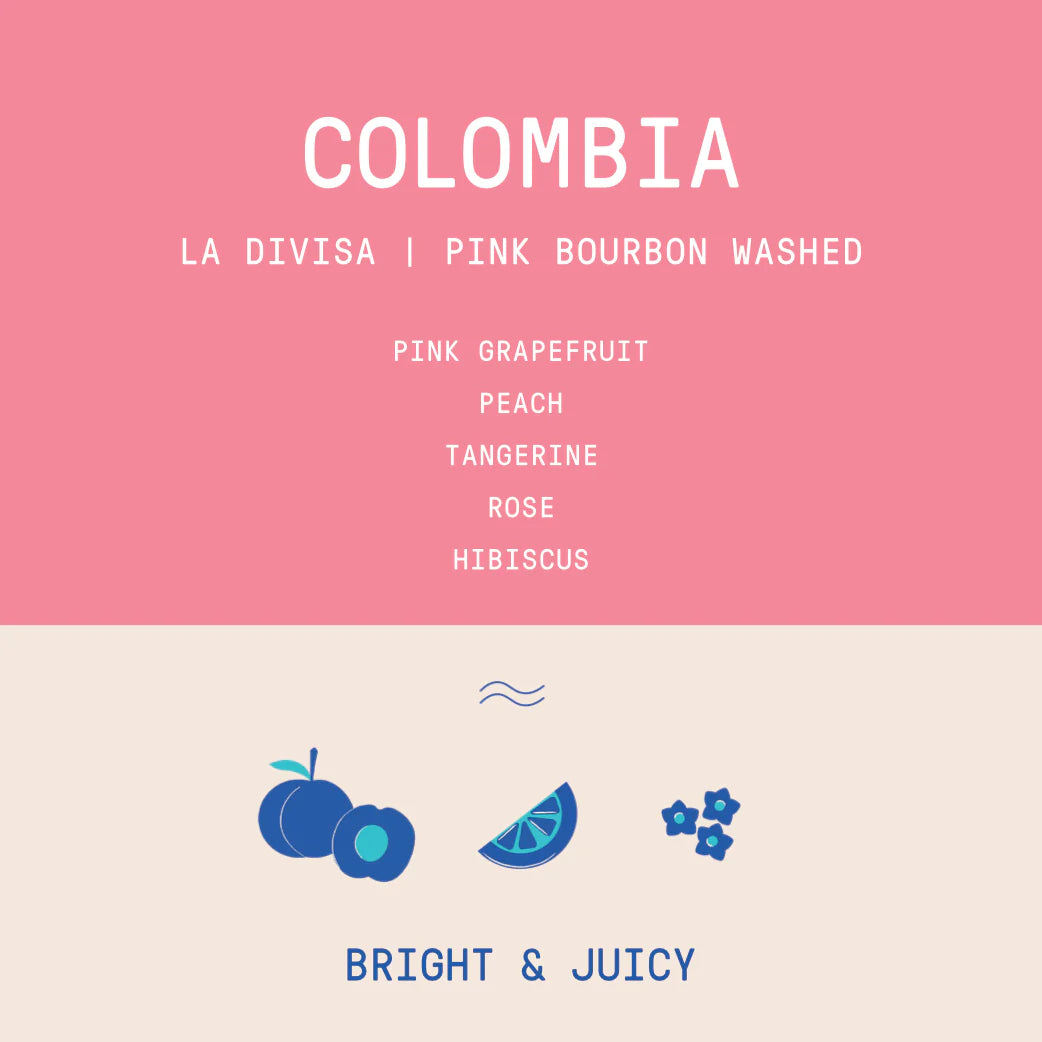 Rogue Wave Coffee - Colombia - La Divisa - Pink Bourbon Washed