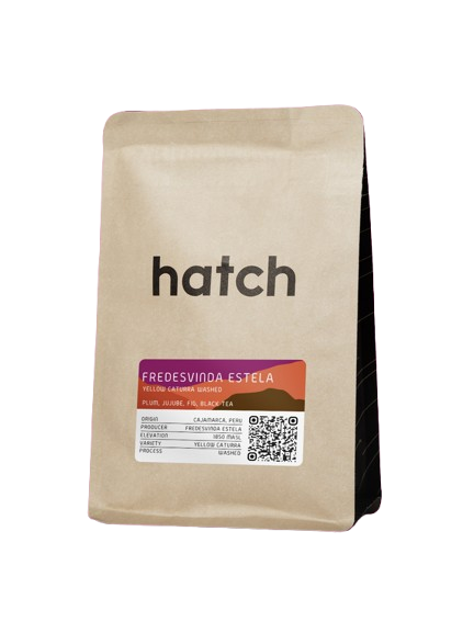 HATCH - El Paraiso - Fredesvinda Estela - Peru - Yellow Caturra Washed