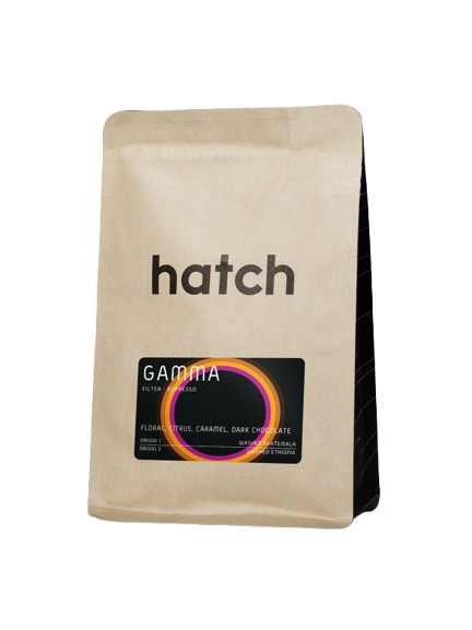 HATCH - Gamma