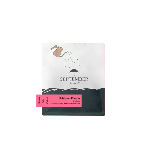 SEPTEMBER - Habtamu Fikadu Chelbesa - Ethiopia - Washed 74158