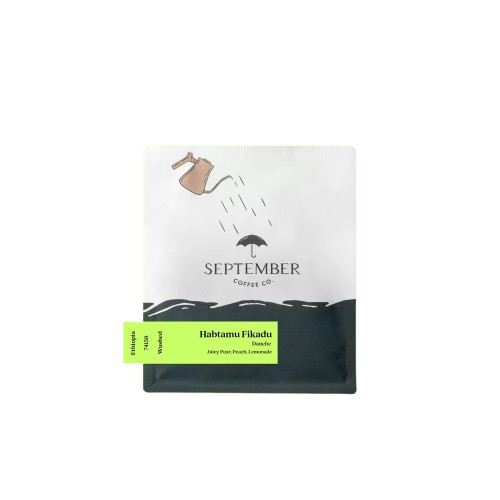 SEPTEMBER - Habtamu Fikadu Danche - Ethiopia - Washed 74158