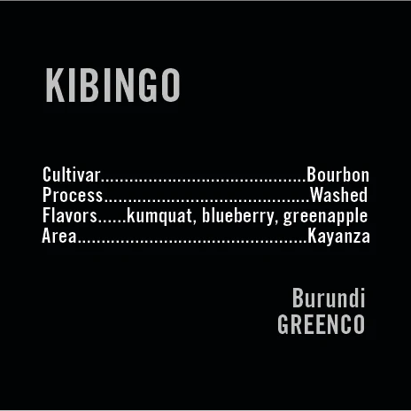 APOLLON'S GOLD - Kibingo