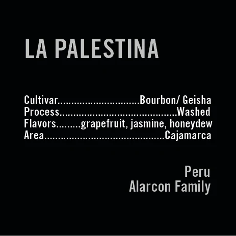 APOLLON'S GOLD - La Palestina