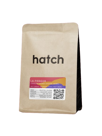 HATCH -  Colombia - La Piragua Stripped Red Bourbon Natural