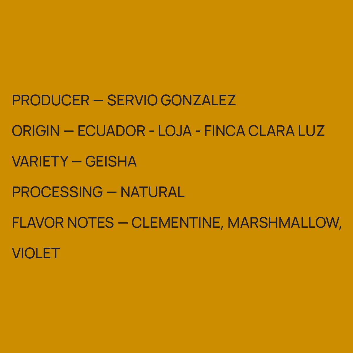 Mirra Coffee Servio Gonzalez - Ecuador - Natural Geisha tasting notes and origin