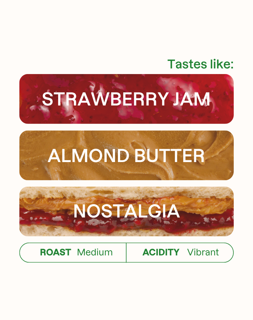 Monogram Peanut Butter Jelly Time Espresso tasting notes and roast level