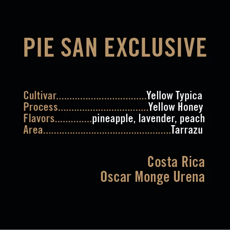 APOLLON'S GOLD - Pie San Exclusive lot Yellow Typica