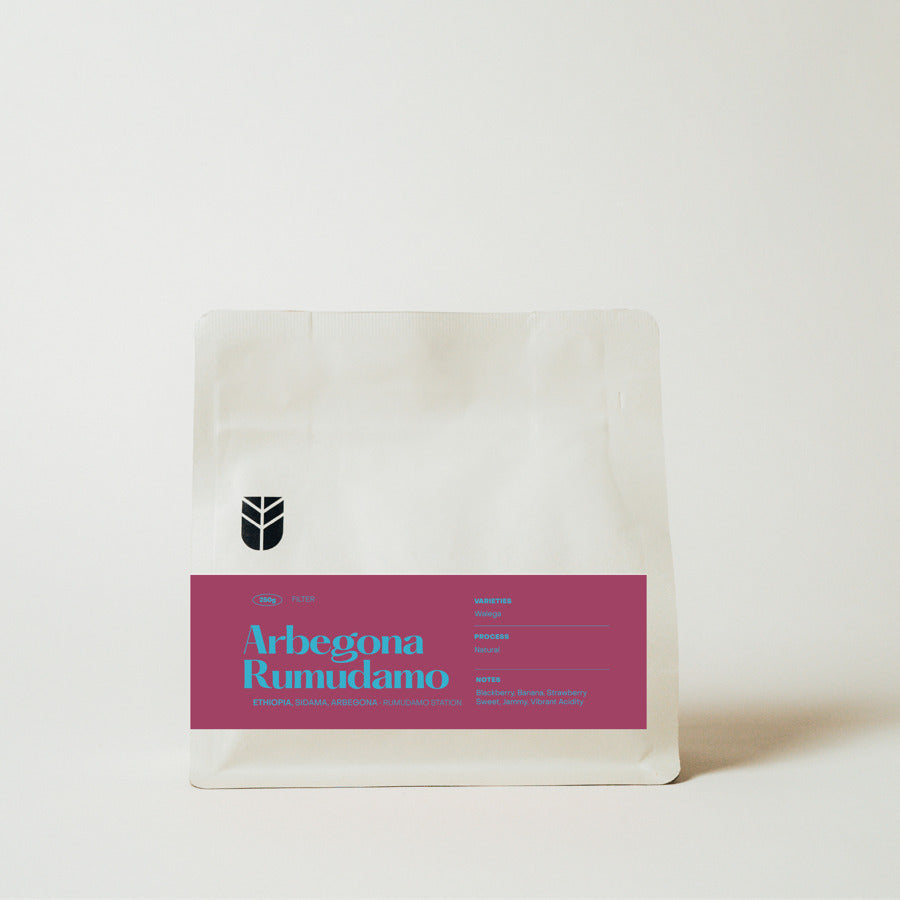 Subtext Coffee Roasters - Arbegona Rumudamo - Ethiopia - Natural - Walega 250g coffee bag