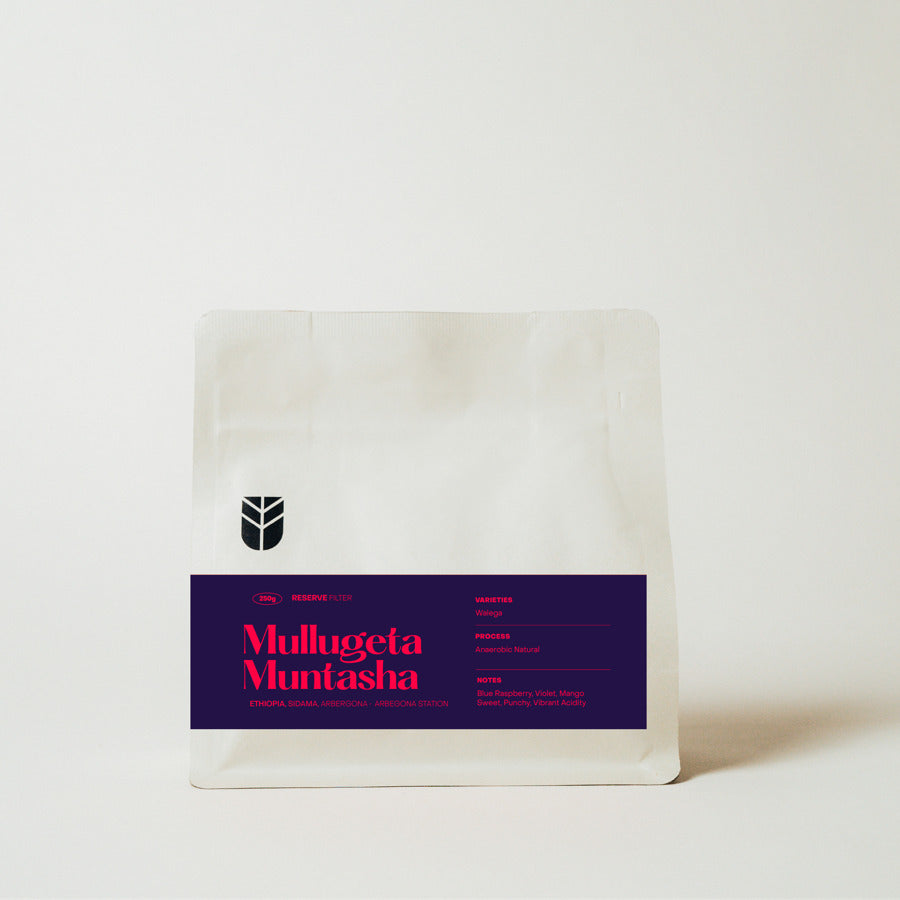 Subtext Coffee Roasters - Mullugeta Muntasha - Ethiopia - Anaerobic Natural - Walega 250g coffee bag