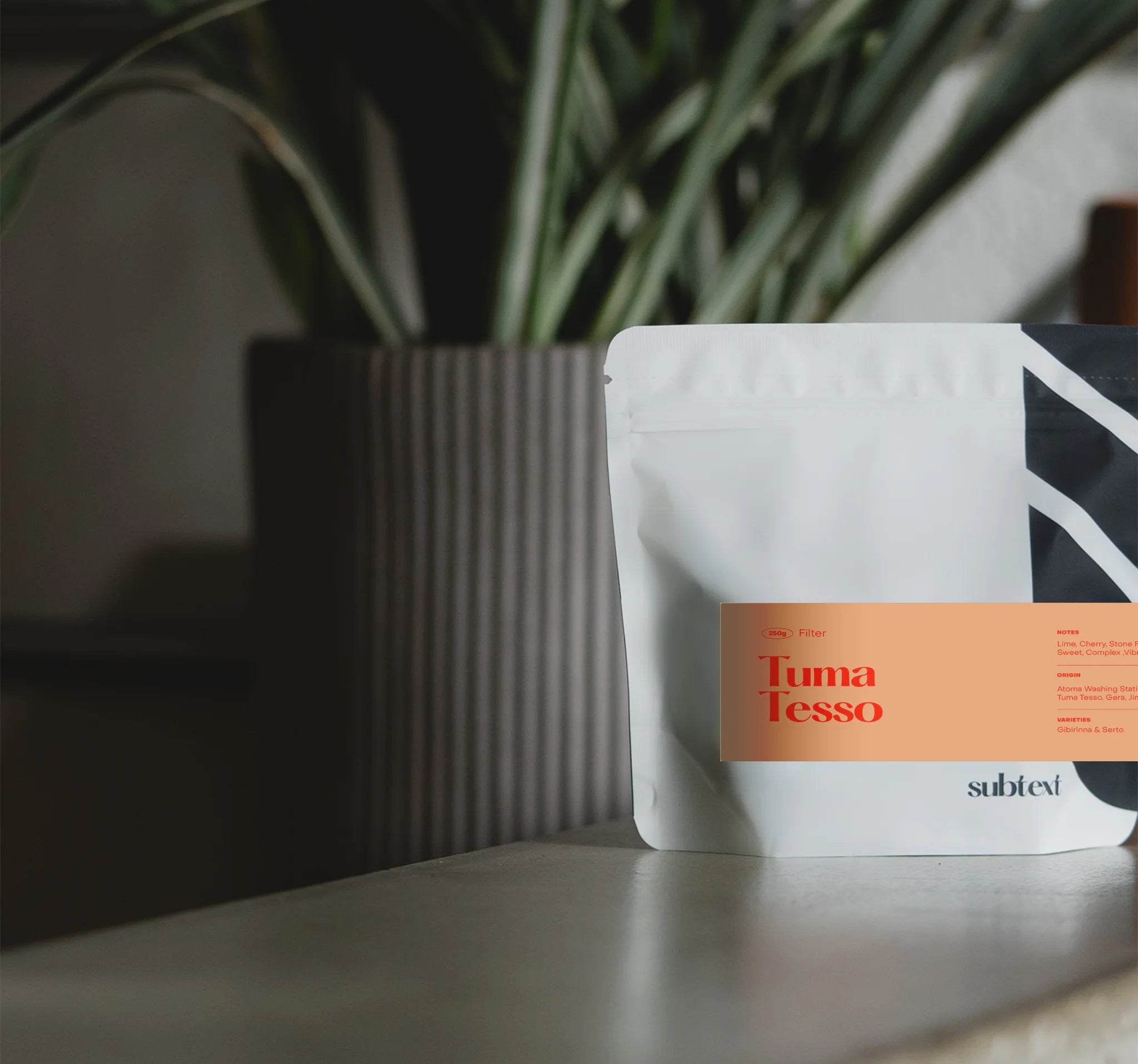 Subtext Coffee Roasters -  Ethiopia Tuma Tesso