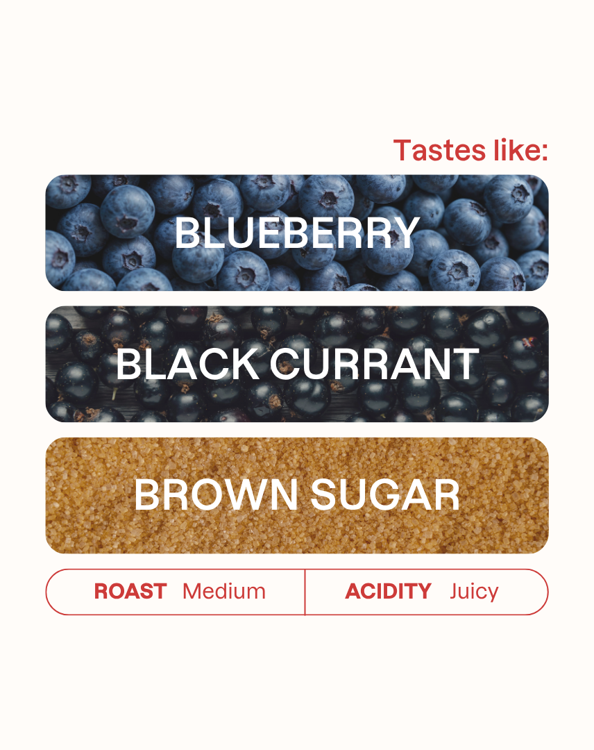 Monogram Nafkot Admasu Espresso tasting notes and roast level