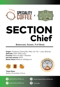Section Chief