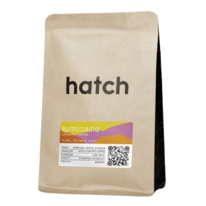 HATCH - Rumudamo Washed