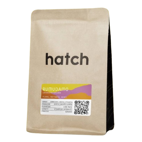HATCH - Rumudamo Washed