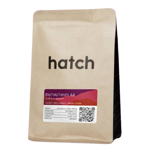 HATCH – Muthuthiini AA Washed