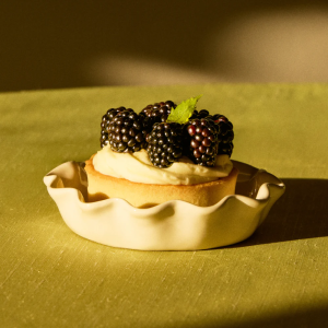 Pilot Coffee Roasters – Holiday Winter Blend